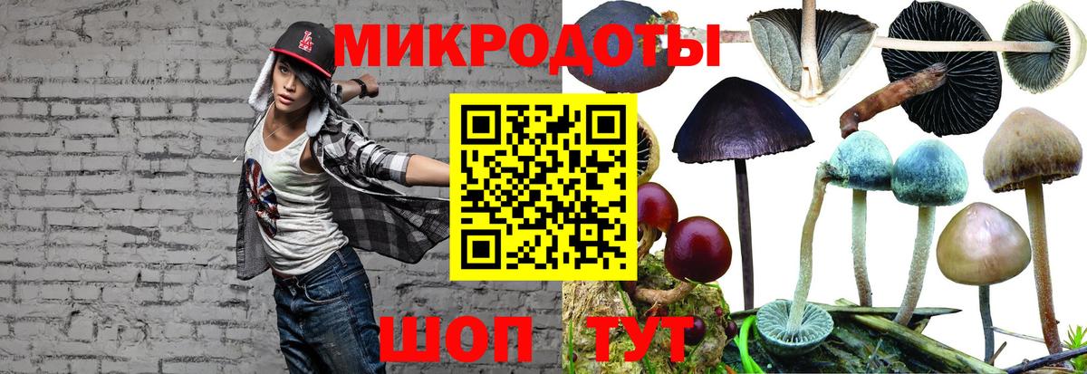 Можайск  хочу наркоту  Вход с VPN  Псилоцибиновые грибы ЛСД 