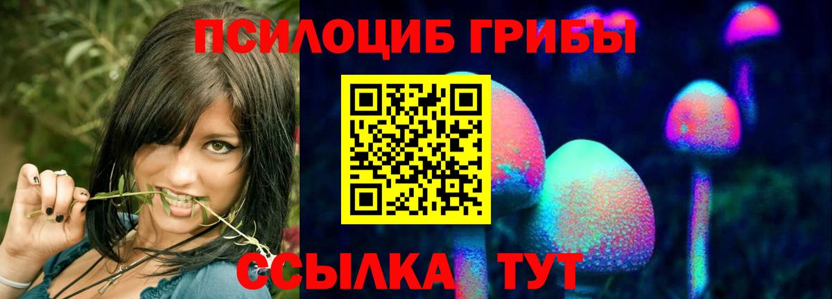 Галлюциногенные грибы мицелий Можайск